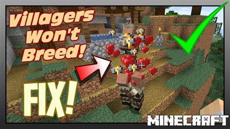villager breeding|why aren't my villagers breeding.